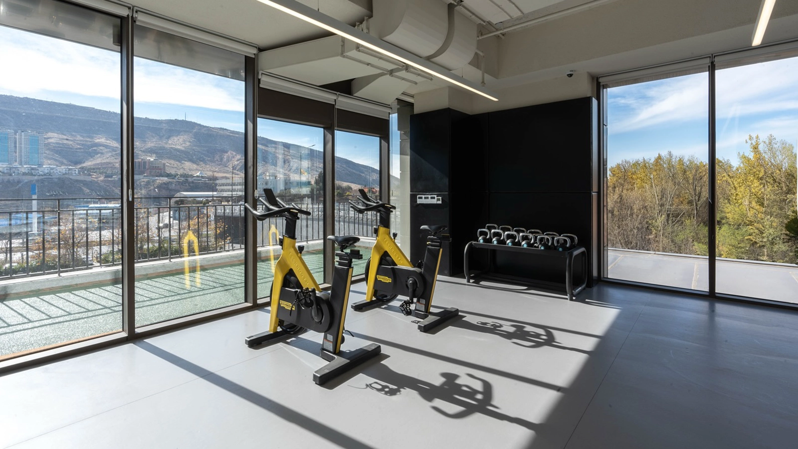 shahan tower gym